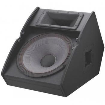 Electro-Voice TX1152FM 500W 15 2-Way Dedicated Vertical Floor Monitor with SST