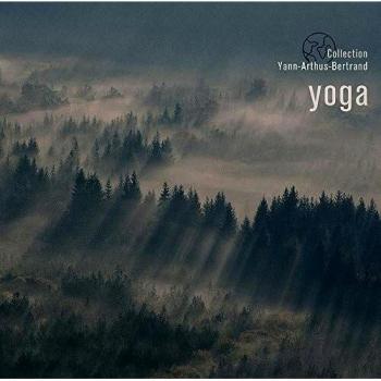 Yoga vinilo