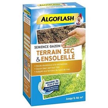 Semillas Algoflash SEMSOL1