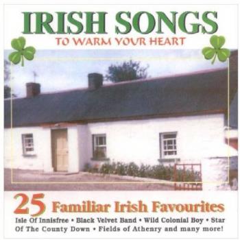 Irish Songs To Warm/Various