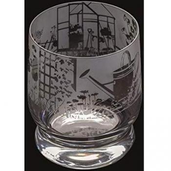 Dartington Crystal Aspect Tumbler Gardening Scene 350ml - Gift Boxed