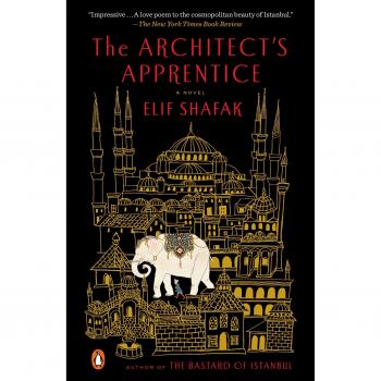 The Architect's Apprentice