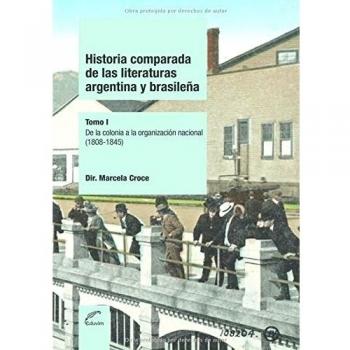 Historia comparada de las literaturas Argentina y Brasileña - Tomo 1: De la colonia a la organización nacional