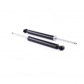 RIDEX 854S1605 Amortiguador, Set de 2