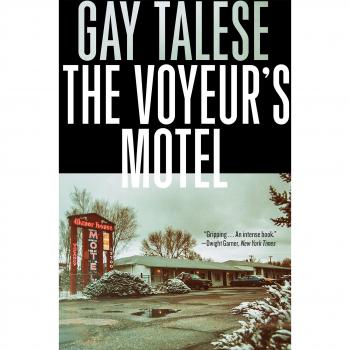 The Voyeur's Motel