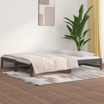 Sofá cama extraíble de madera maciza de pino gris 2x(80x200) cm