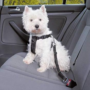 Arnes con cinturon de Seguridad para perros TRIXIE