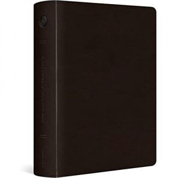 ESV Single Column Journaling Bible, Large Print