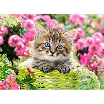 Puzzle Castorland Gatito en Jardín de Flores 100 Piezas