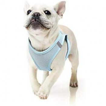 HEELE Arnés para Perro Pequeño Arnes Antitirones Perro Lineas Reflectores Mejor Seguridad en Noche, Azul, L