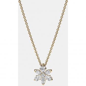 Collar Pandora Timeless Herbario Brillante 362387C01-45