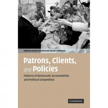 Democratic Accountability and Political Competition: A Comprehensive Analysis of Patrons, Clients, and Policies