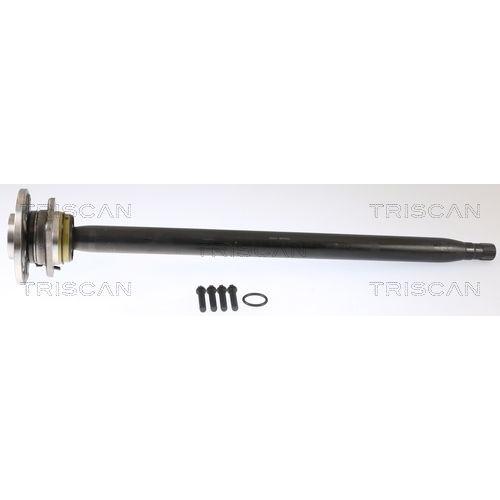 Imagen Principal