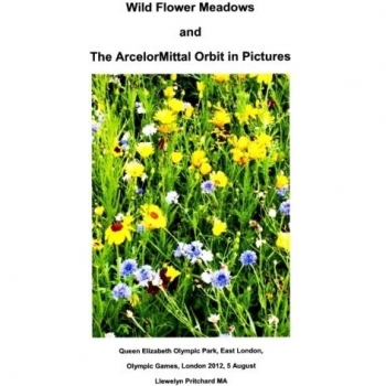 Wild Flower Meadows and the ArcelorMittal Orbit in Pictures: Olympic Legacy: Volume 18