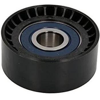 Polea guía INA 532 0666 10 para correa v-ribbed, compatible con OPEL Astra, Corsa, Mokka, Meriva y CHEVROLET Cruze, Aveo, Trax