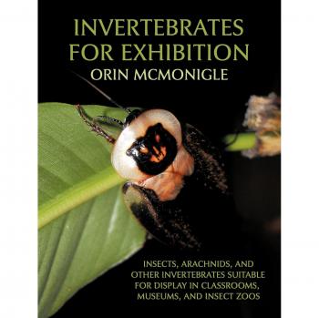 Exhibition-Ready Invertebrates: A Guide to Displaying Insects, Arachnids, and Other Specimens for Classrooms and Museums