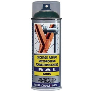 Laca Acrílica Brillante RAL 6005 Verde Musgo - 400 ml