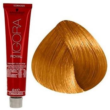 Schwarzkopf Igora Royal 0-55 Gold Concentrate Permanent Hair Color Cream 60 ml