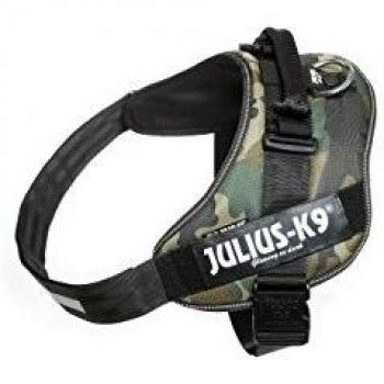 JULIUS-K9 16IDC Power Harness