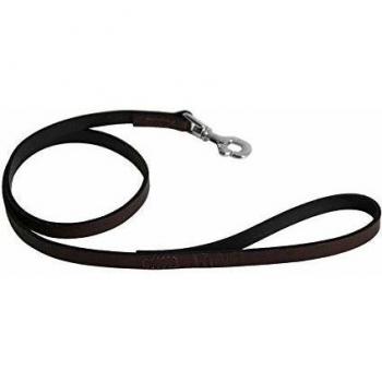 Correa para perro de cuero bicolor Martin Sellier 499 con collar a juego