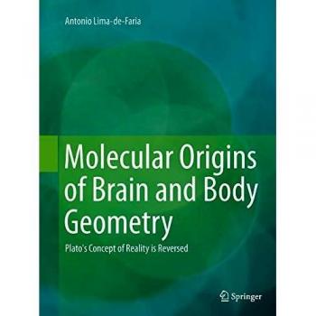 Molecular Origins of Brain and Body Geometry: Plato's Concept of Reality is Reversed