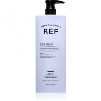 Acondicionador Hidratante Cool Silver 1000ml con Pigmentos Violetas y Aceites de Arándano y Linaza