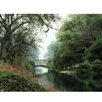 3382 MGL flores Best (Dominic Davison) Fine Wall Art Nostalgic Retro de Metal pared publicidad placa decorativa