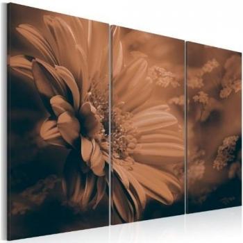 Cuadro en Lienzo Grande Formato Impresion en calidad fotografica! Cuadro en lienzo tejido-no tejido 3 partes flores 030110-28 120x80 cm B&D XXL