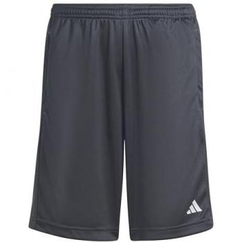 Pantalones Cortos de Fitness para Niños Adidas Train Essentials Ajuste Regular Gris
