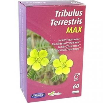 Orthonat Tribulus Terrestre 650mg 60 Cápsulas