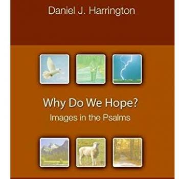 Why Do We Hope?: Visual Reflections on the Psalms by Daniel J. Harrington