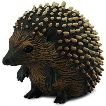 Erizo -S-88458 - Collecta: Figura realista de erizo para regalar a niños y niñas mayores de 3 años