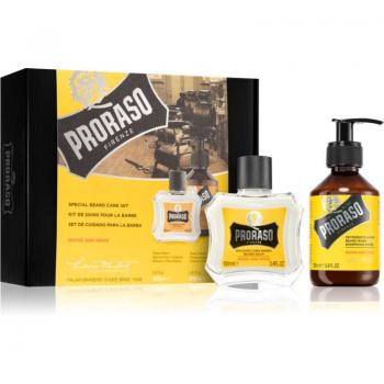 Estuche Metálico Afeitado Vintage Azur Lime de Proraso, Set Beard Classic Lote De Regalo Wood And Spice Para Hombre, Proraso Pack Bálsamo Primeros Días + Champú para Barba Wood