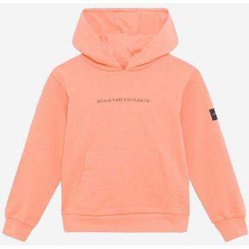 Sudadera con capucha Ecoalf