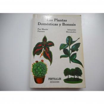 Plantas Domesticas y Bonsais