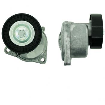 Polea Correa Multiv Skf Vkm 64017