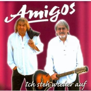 Amigos Resilience Support - I Stand Up Again (Import)