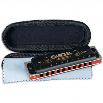 Professional Blues Harmonica in C with Case and Cleaning Cloth