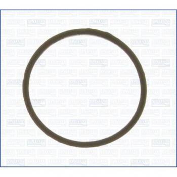 Junta de termostato AJUSA 00538300 para vehículos RENAULT: Mégane, Clio, Trafic, Kangoo, Mégane Scénic, Laguna, Mégane Classic, Express, Super 5