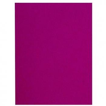 Exacompta Flash 220 - Paquete de 100 subcarpetas, 24 x 32 cm, color fucsia