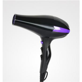 Secador Iónico Profesional Ionic R-3900 - Perfect Beauty
