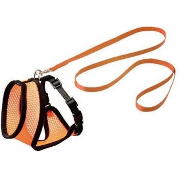 Flamingo 1031373 Conjunto de Arnés y Correa Naranja para Gato, S