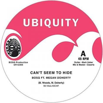 Cant seem to hidetake me vinilo