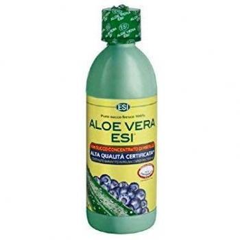 ESI Aloe Vera Zumo Mirtilo - 500 ml