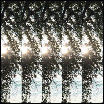 Dialectic of Ignorance - Vinyl Record