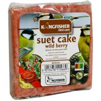 Kingfisher Suet Tray with Wild Berry 300g Wild Garden Bird Food Feed High Energy