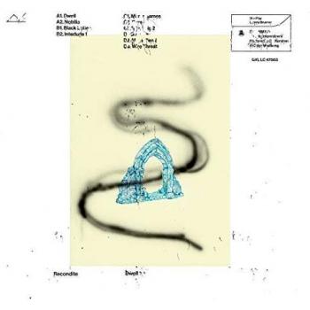 Dwell vinilo 2