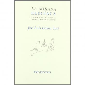 La mirada elegiaca