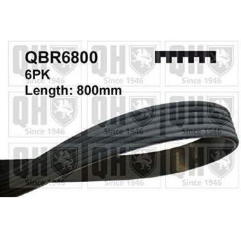 Correa Poli V Quinton Hazell QBR6800 para Peugeot 206 (3/5 puertas)