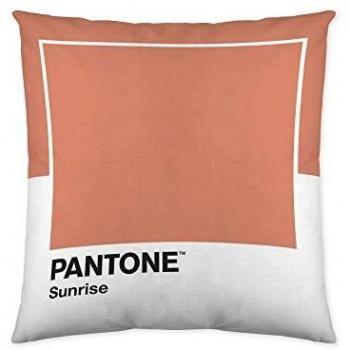 Pantone Funda de cojín Reversible Wide C 50x50 cm